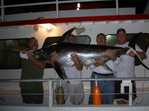 This is the 300# swordfish we caught on Friday